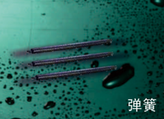 保利  PVC-U电工套管系列(白色)  弹簧25mm