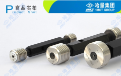 哈量 校对螺纹塞规 M100*6 6g-8h TS