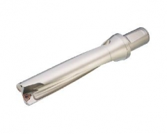 纬冠 銑刀 Disposamle Rapid Drilling C40-SD49-196L