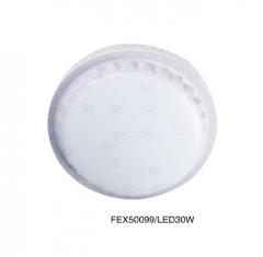 佛山照明 卧室灯 FEX50091/LED30Wφ530*110(圆)常A1403-下架