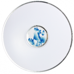 佛山照明 FSL吸顶灯φ430 220V36W 65K 大家二代 蕴荷 调光调色遥控标准型5*1