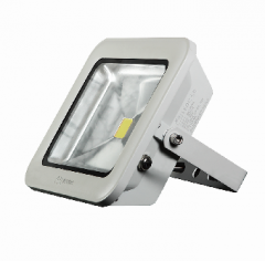 佛山照明 佛山照明 汾江LED泛光灯（经济型） 30W