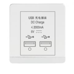佛山照明 F11 二位USB充电插座(白色） F11A-USB/2
